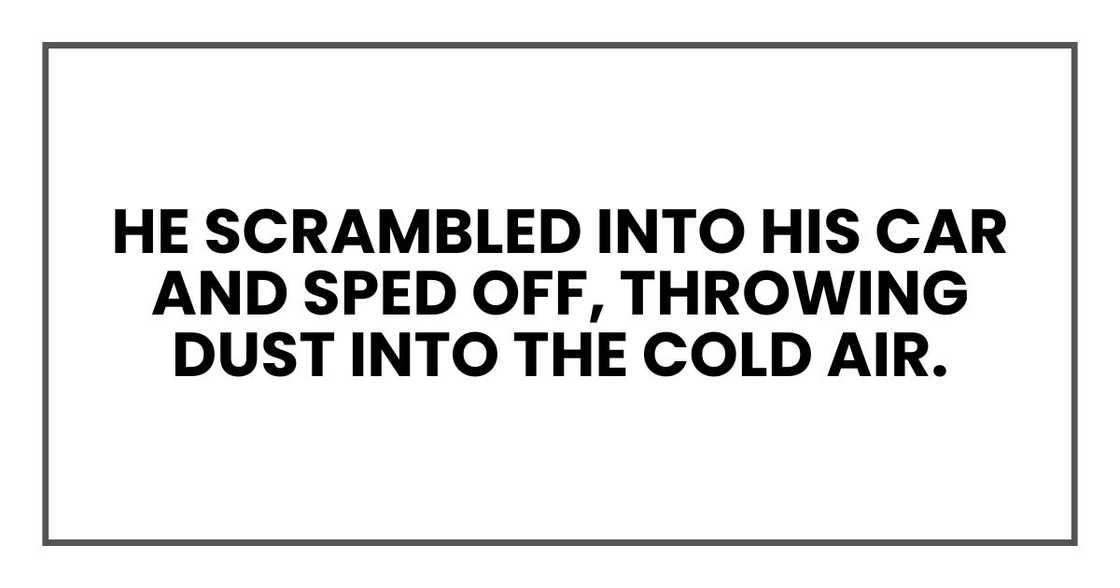 He scrambled into his car and sped off, throwing dust into the cold air. He scrambled into his car and sped off, throwing dust into the cold air.