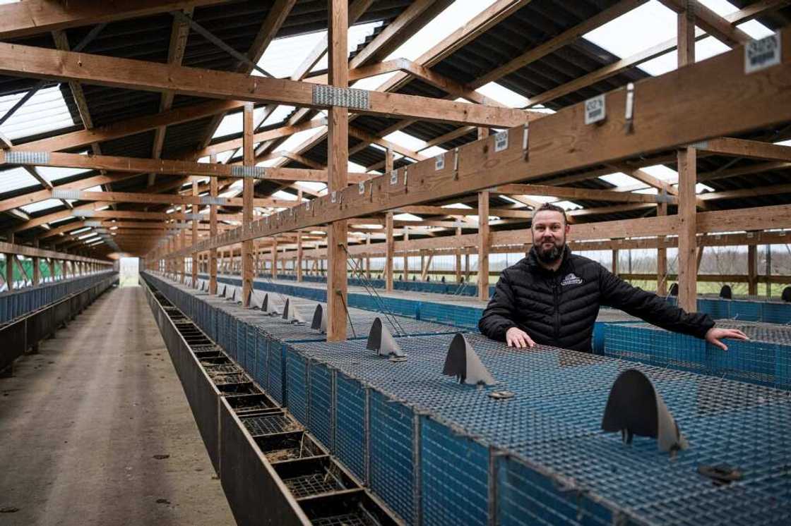 Thomas Jeppesen will produce beer at a former mink farm in Holstebro, Denmark Thomas Jeppesen will produce beer at a former mink farm in Holstebro, Denmark