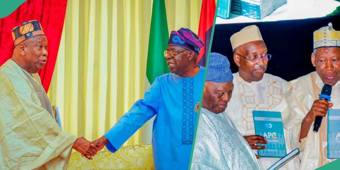 Shugaban APC Shugaban APC