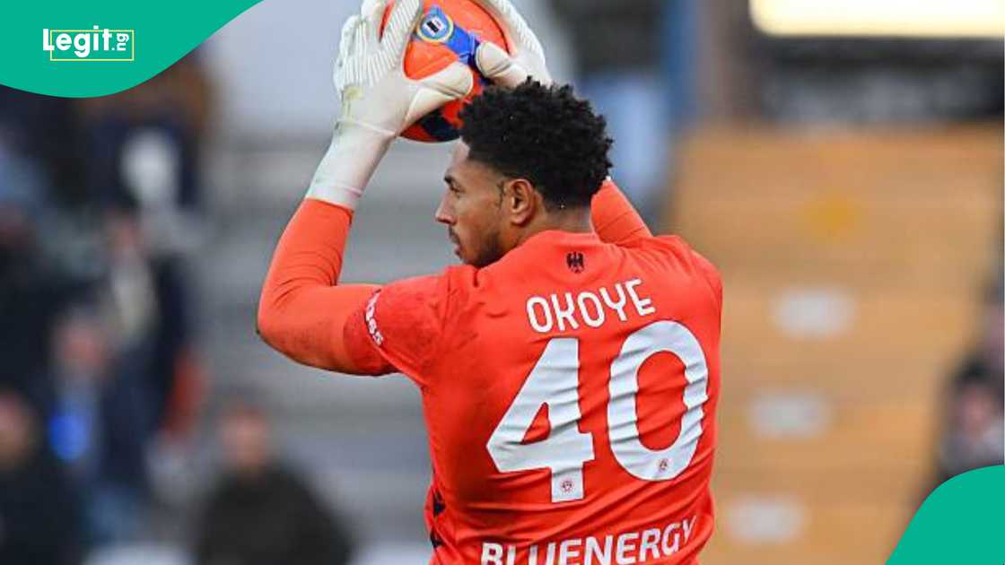 Maduka Okoye, Udinese, Nigeria, Super Eagles, Napoli, AFCON Maduka Okoye, Udinese, Nigeria, Super Eagles, Napoli, AFCON