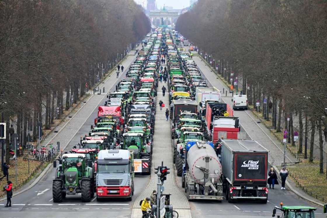 The protesters blocked one of the main roads through central Berlin near the Brandenburg Gate, dumping manure on the road The protesters blocked one of the main roads through central Berlin near the Brandenburg Gate, dumping manure on the road