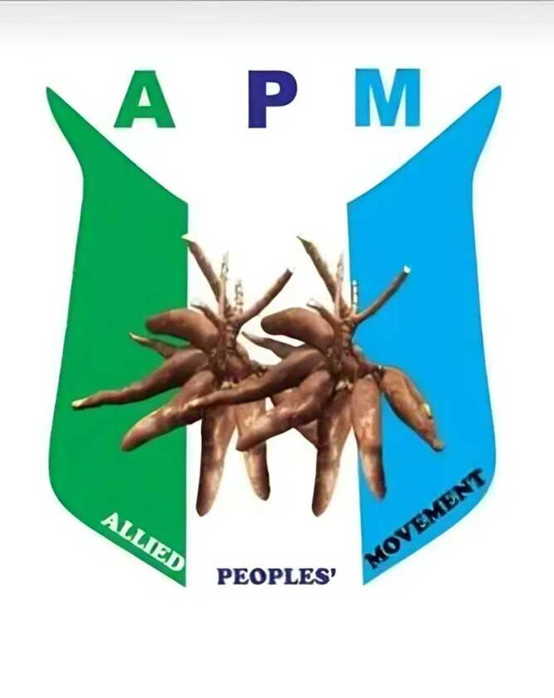 APM's logo APM's logo