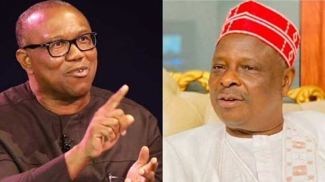 Peter Obi, Rabiu Kwankwaso, Labour Party, NNPP, 2023 presidential election Peter Obi, Rabiu Kwankwaso, Labour Party, NNPP, 2023 presidential election