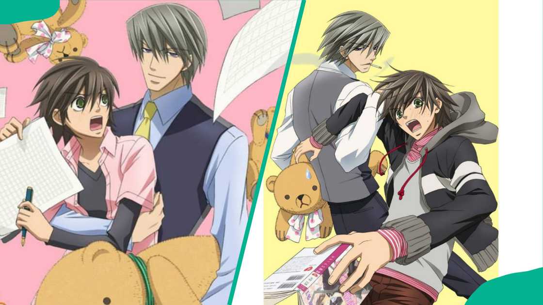 Junjou Romantica's characters Junjou Romantica's characters