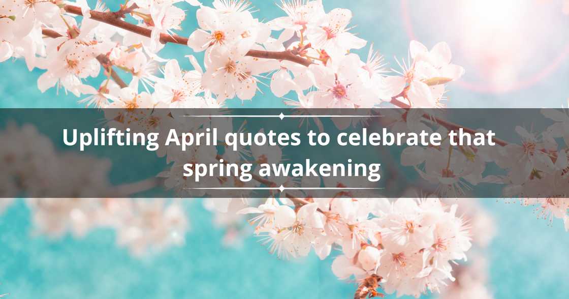 April quotes