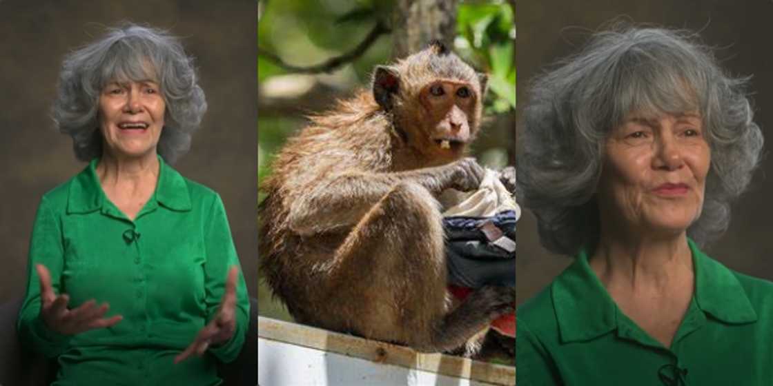 Reactions as Woman Says She Was Brought Up by Monkeys After She Was Kidnapped As a Child