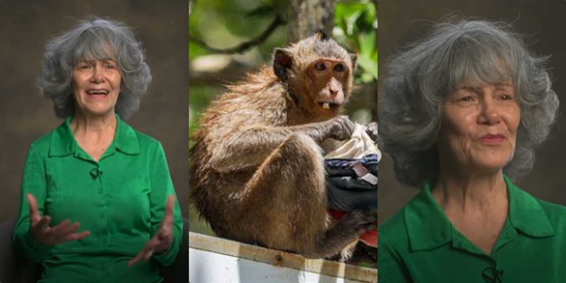 Reactions as Woman Says She Was Brought Up by Monkeys After She Was Kidnapped As a Child Reactions as Woman Says She Was Brought Up by Monkeys After She Was Kidnapped As a Child