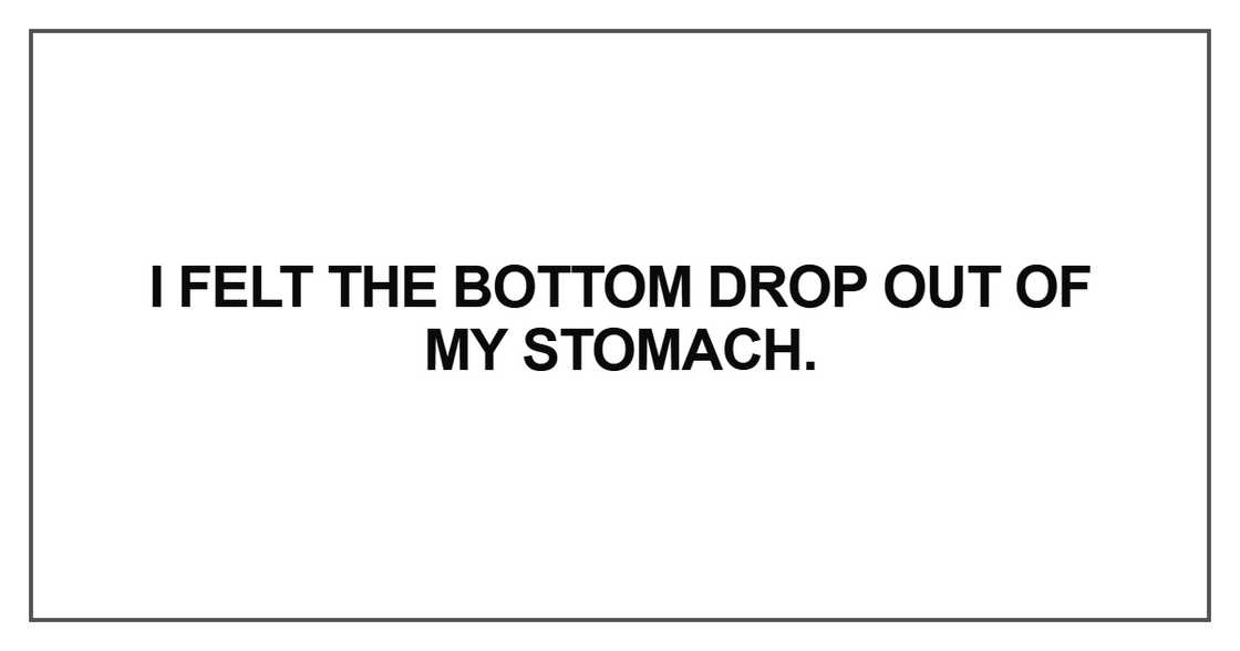 I felt the bottom drop out of my stomach