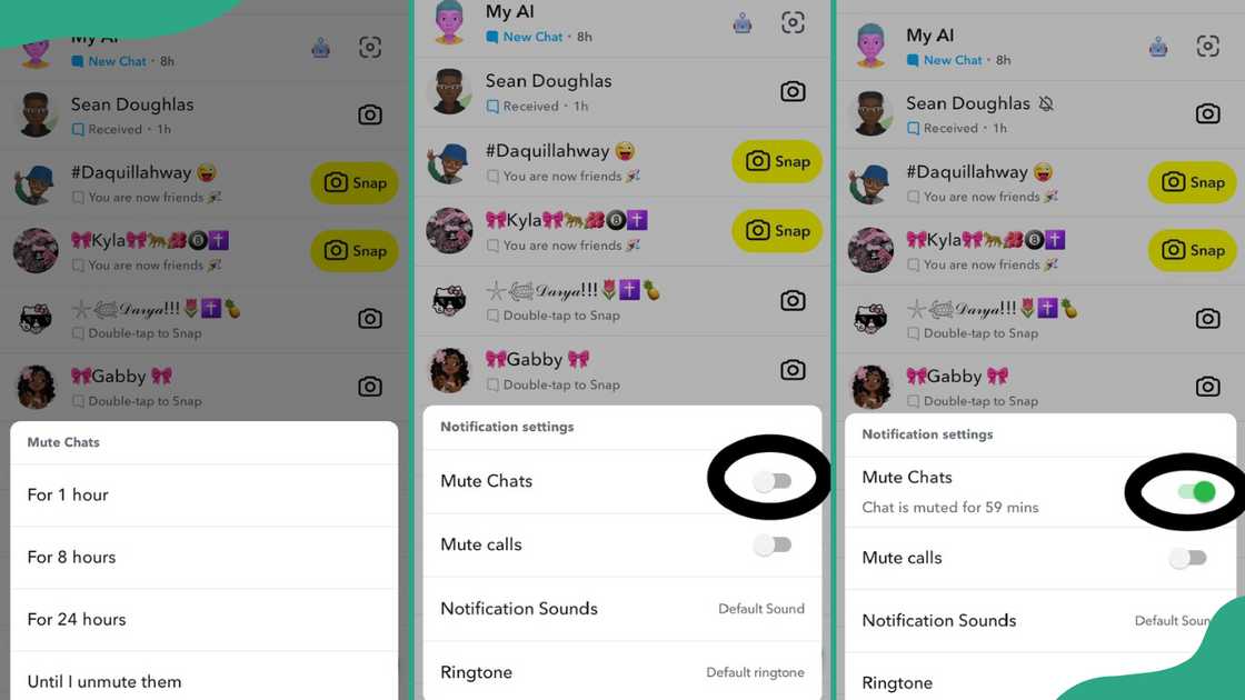 Process for muting notifications for specific chats Process for muting notifications for specific chats