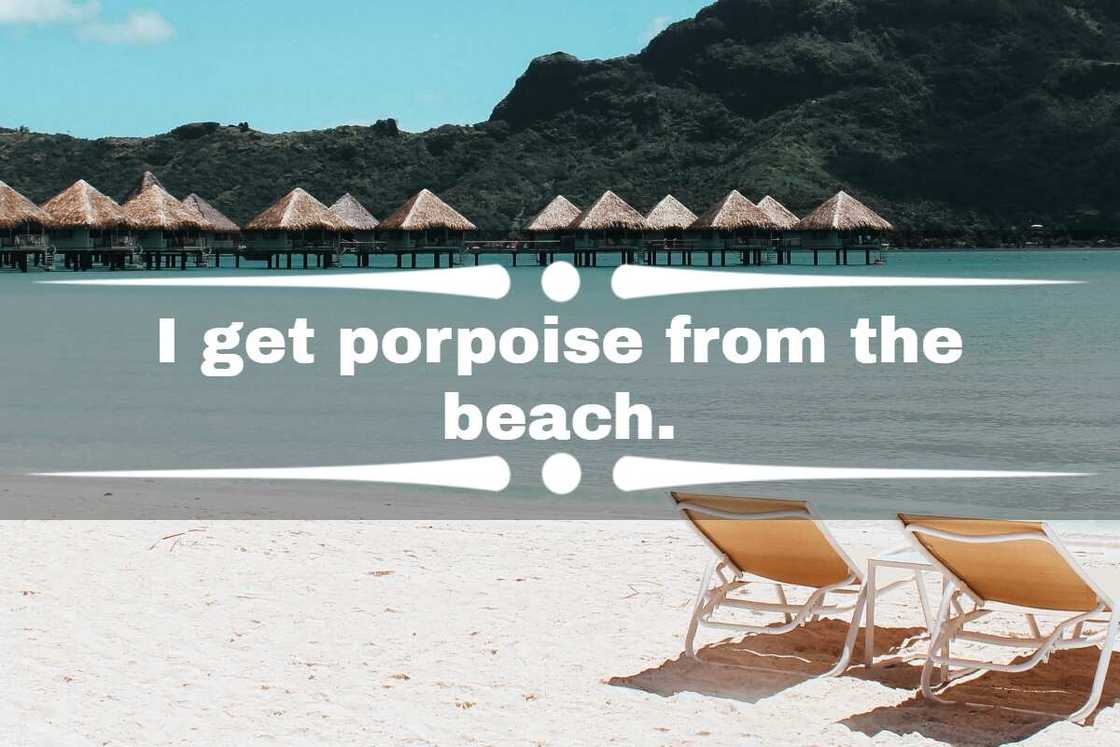 beach puns for couples