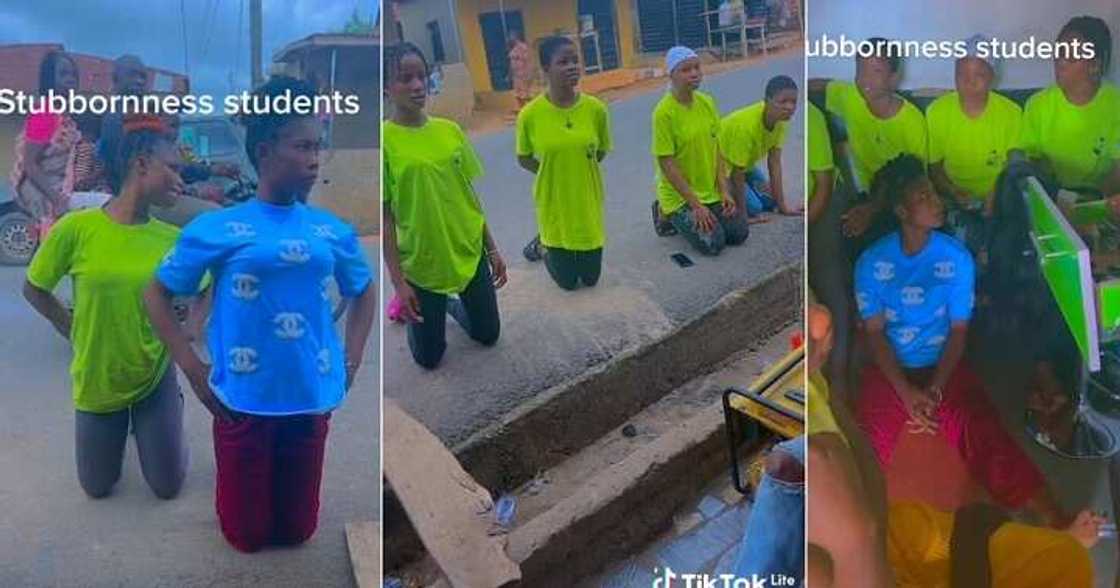 Hairdresser punishes female apprentices Hairdresser punishes female apprentices