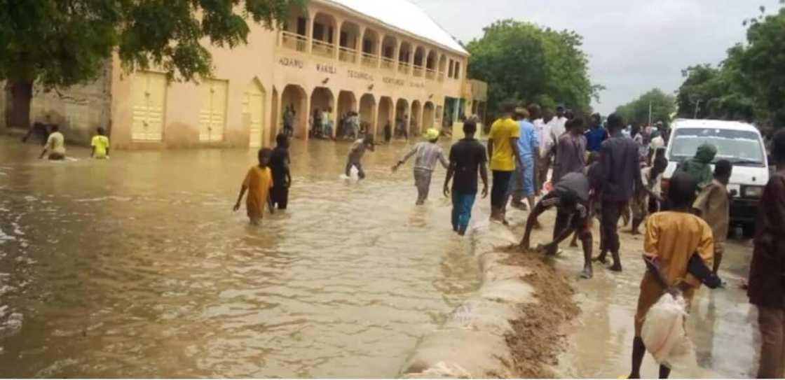 Ambaliyar ruwa: Attajiran kasar nan sun tallafawa jama'ar Jigawa Ambaliyar ruwa: Attajiran kasar nan sun tallafawa jama'ar Jigawa