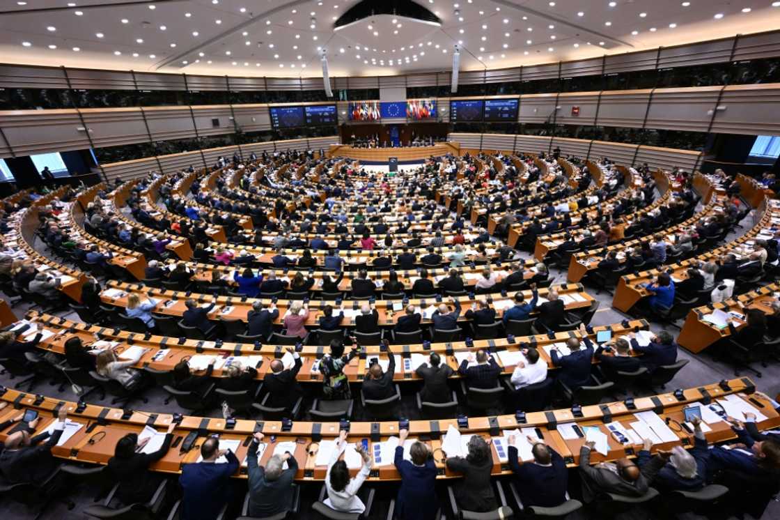 Commissioner hearings offer the EU's parliament a rare chance to flex its muscles against the bloc's powerful executive Commissioner hearings offer the EU's parliament a rare chance to flex its muscles against the bloc's powerful executive