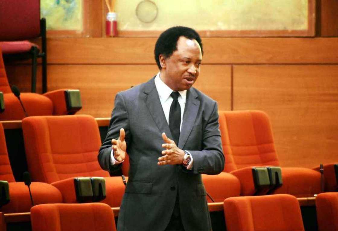 Sanatan shiyyar Kaduna ta Tsakiya; Sanata Shehu Sani Sanatan shiyyar Kaduna ta Tsakiya; Sanata Shehu Sani
