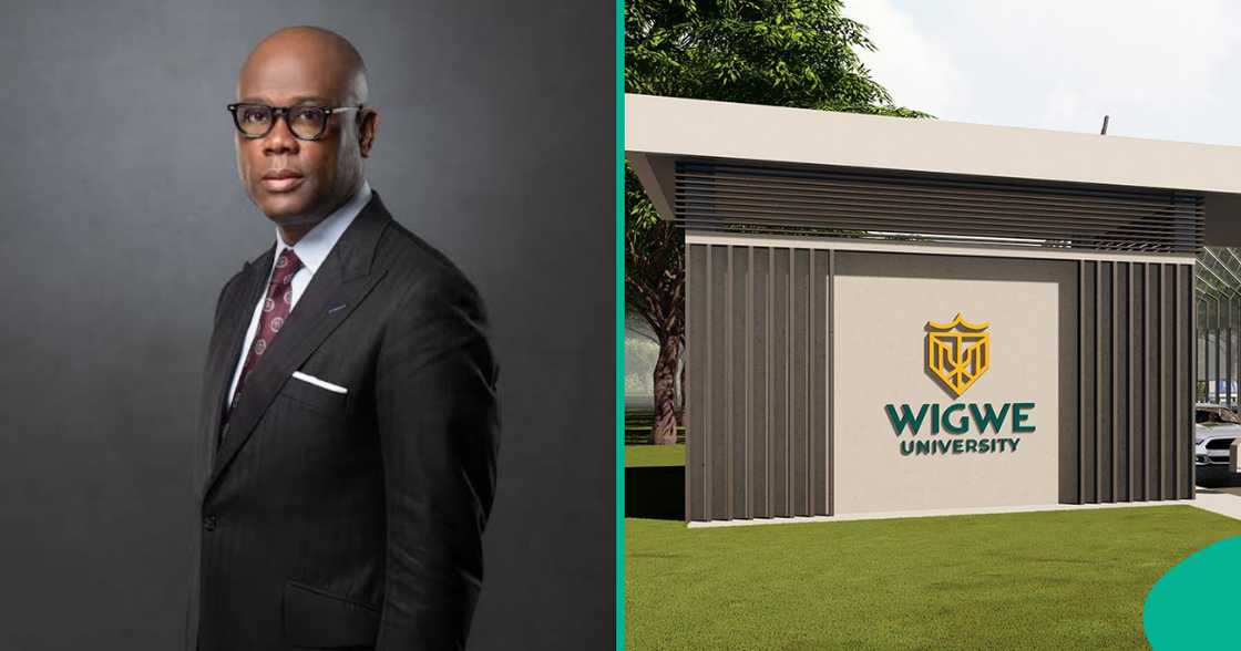 Wigwe university publishes details about fees.
