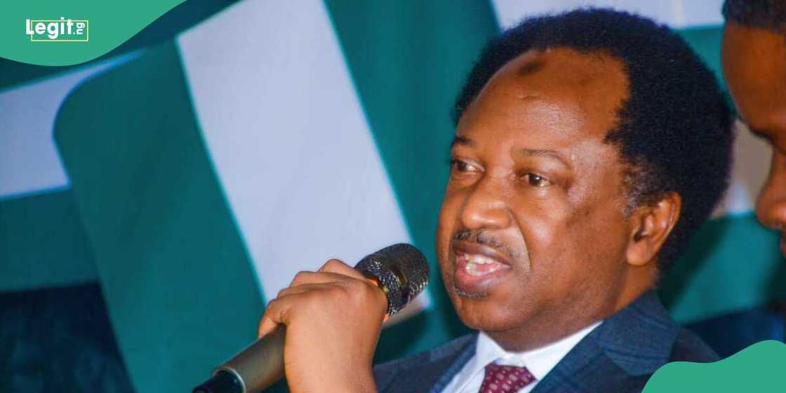 Shehu Sani said most of Nigeria’s foreign reserves were stolen under Buhari administration Shehu Sani said most of Nigeria’s foreign reserves were stolen under Buhari administration