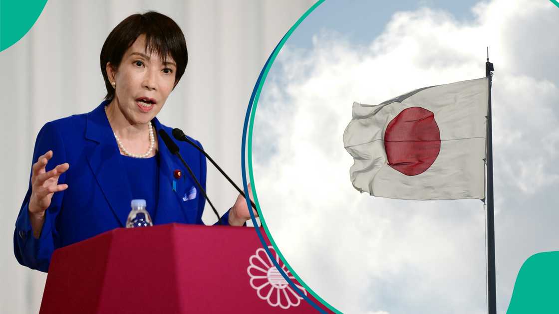 Japan publishes list of items travellers are allowed to bring into country Japan publishes list of items travellers are allowed to bring into country