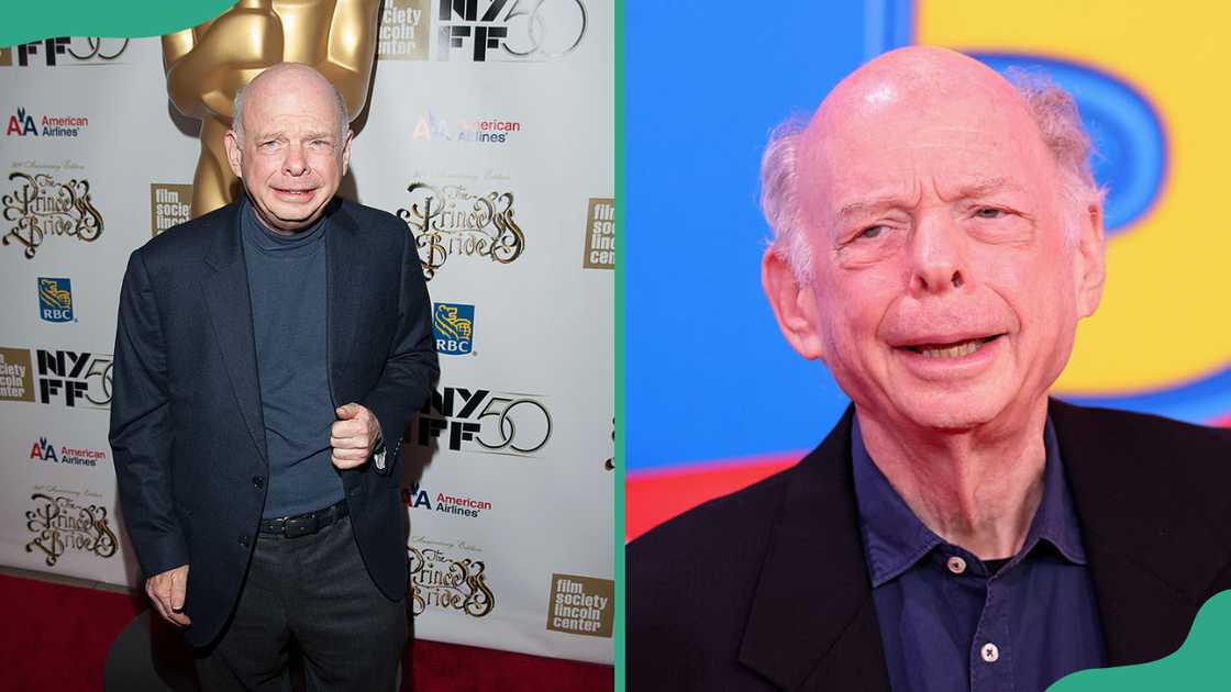Wallace Shawn at Alice Tully Hall and at the Dolby Theatre