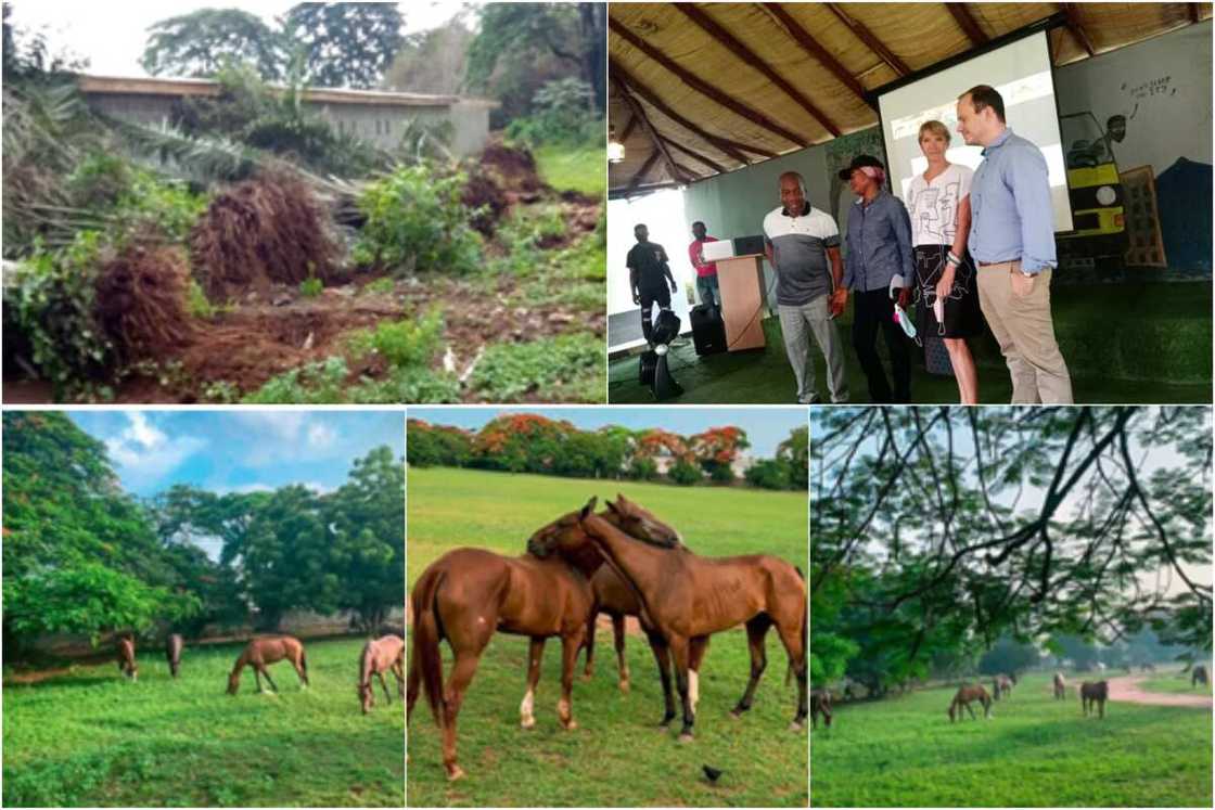 Ikeja Saddle Club writes IGP Usman Baba over the invasion of its property. Ikeja Saddle Club writes IGP Usman Baba over the invasion of its property.