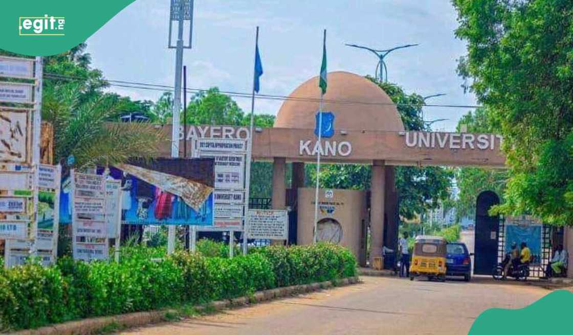 Jami'ar Bayero Jami'ar Bayero