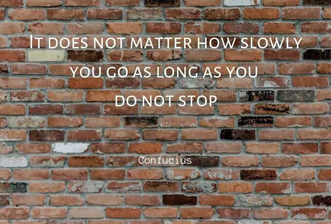 Inspirational never give up quotes Inspirational never give up quotes