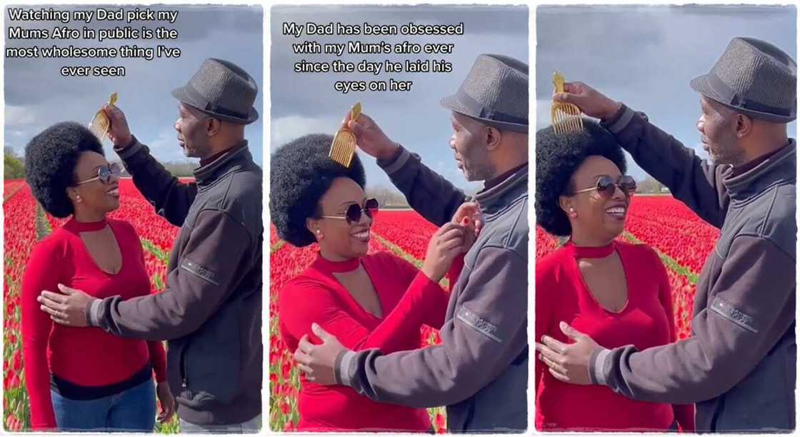 Photos shows when a man combed his wife's thick afro hair in public. Photos shows when a man combed his wife's thick afro hair in public.