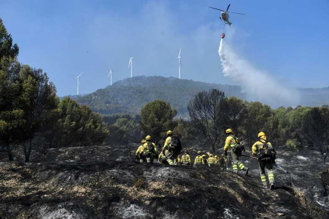 This year's fires in Spain have already destroyed more than three times the area consumed by wildfires in 2021 This year's fires in Spain have already destroyed more than three times the area consumed by wildfires in 2021