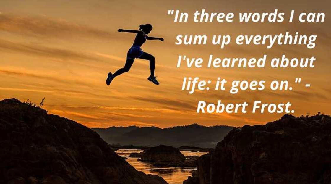 wise life quotes wise life quotes
