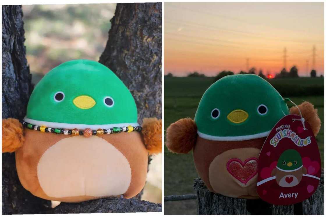 Rare squishmallows Rare squishmallows