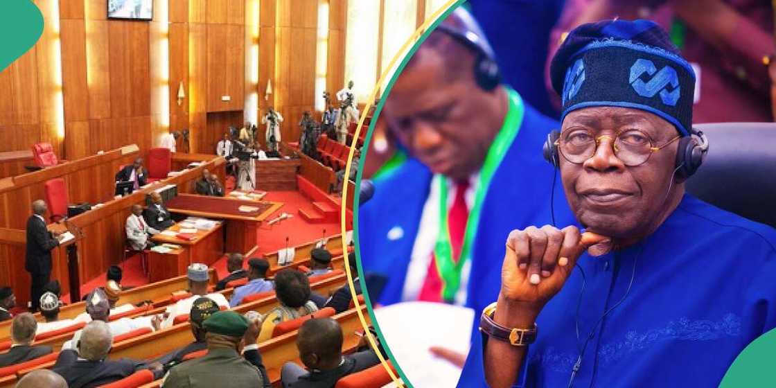 Sanatocin Arewa sun ji dadin cirewa Nijar takunkumi Sanatocin Arewa sun ji dadin cirewa Nijar takunkumi