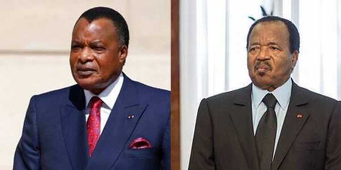 Sit-Tight-Syndrome: List of Africa's Longest-serving Current Heads of State Sit-Tight-Syndrome: List of Africa's Longest-serving Current Heads of State