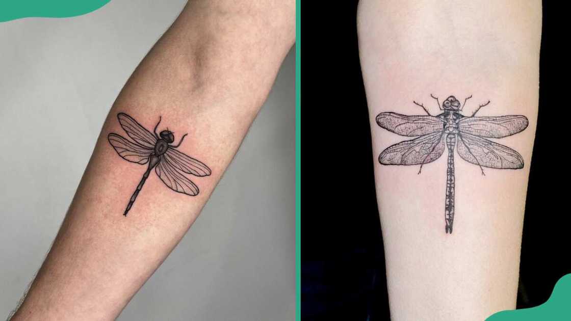 Forearm dragonfly tattoos Forearm dragonfly tattoos