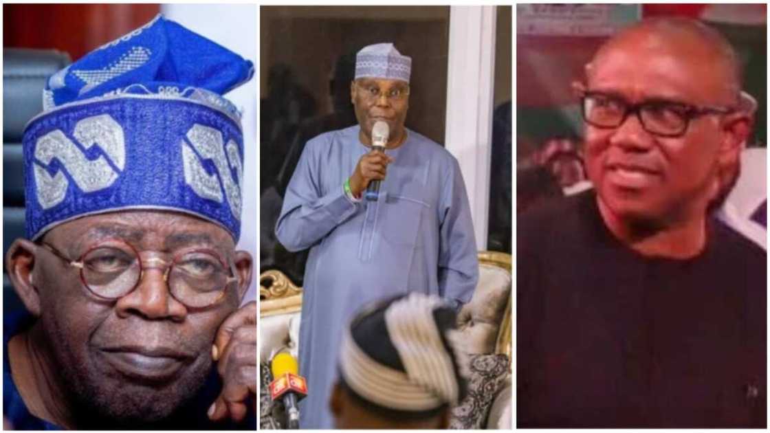Bola Tinubu/Atiku Abubakar/Peter Obi/APC/PDP/Labour Party/2023 Election/Ayodele Fayose Bola Tinubu/Atiku Abubakar/Peter Obi/APC/PDP/Labour Party/2023 Election/Ayodele Fayose