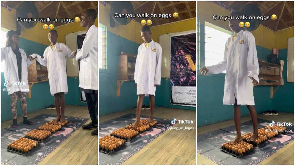 Lady walking on eggs/she crashed some eggs. Lady walking on eggs/she crashed some eggs.