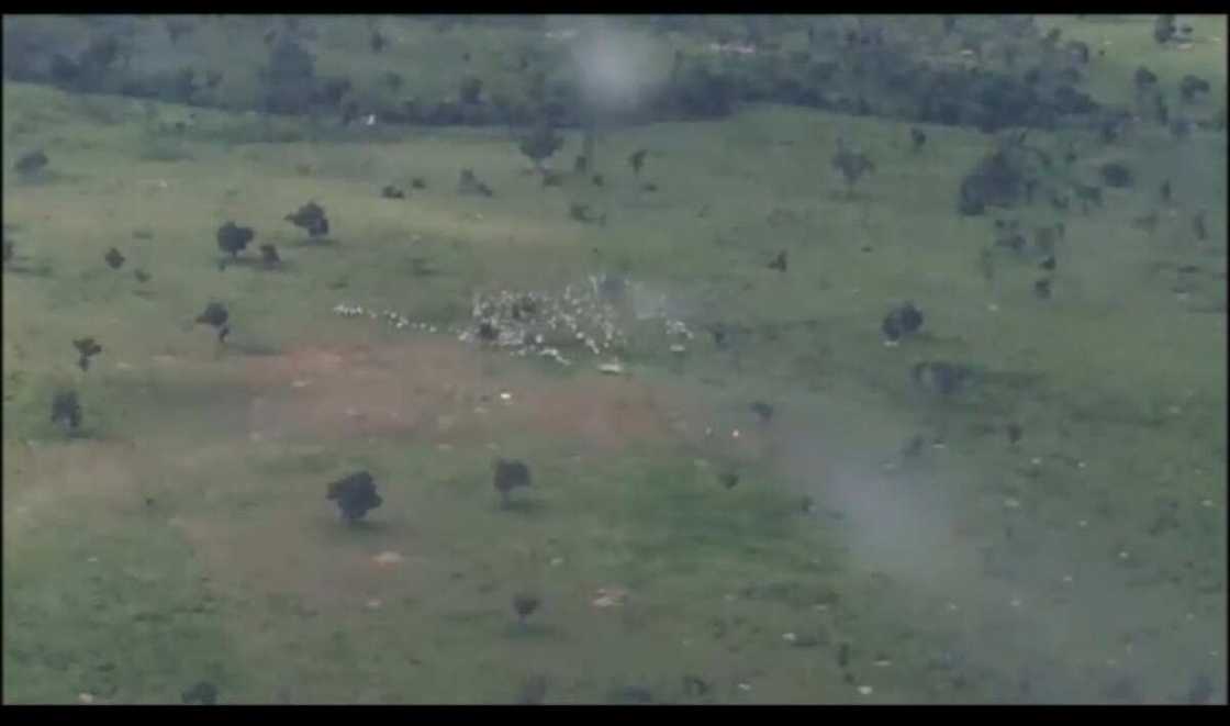 Bidiyo da hotunan ragargazar da soji suka yi wa 'yan bindiga yayin da suke kwashe shanu a Kaduna Bidiyo da hotunan ragargazar da soji suka yi wa 'yan bindiga yayin da suke kwashe shanu a Kaduna