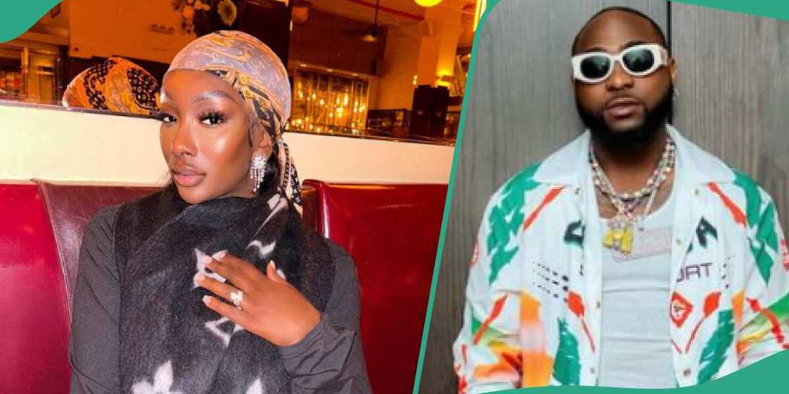 Davido: Anita Brown trades words with Nigerians.