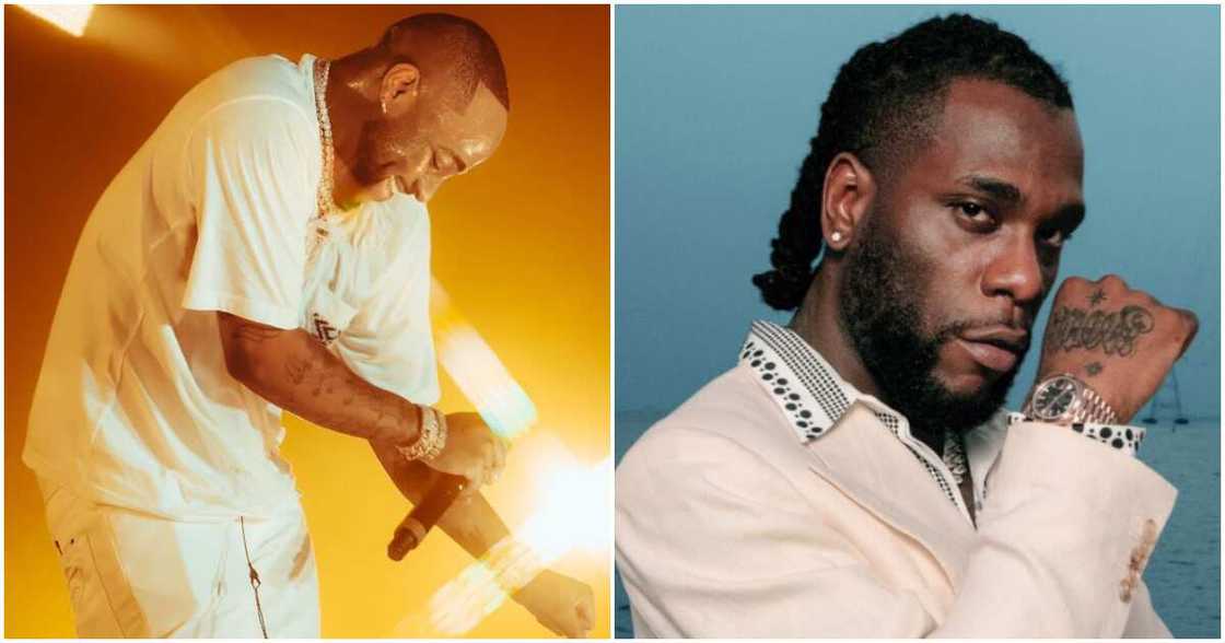 Davido, Burna Boy, Lagos show