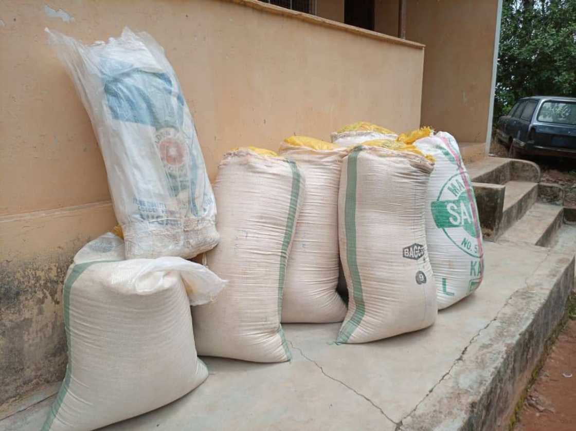 An damke buhuhunan garin Kwaki cike da ganyen 'Wiwi' (Hotuna) An damke buhuhunan garin Kwaki cike da ganyen 'Wiwi' (Hotuna)