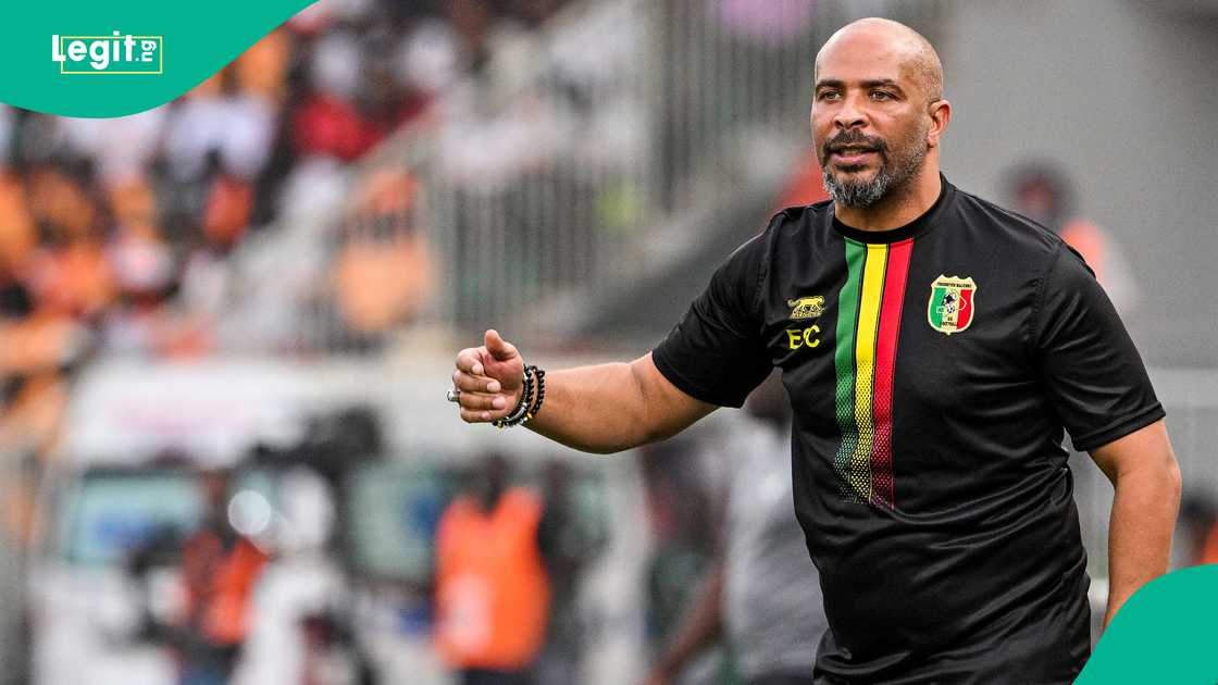 Super Eagles, Eric Chelle, Nigeria Super Eagles, Eric Chelle, Nigeria