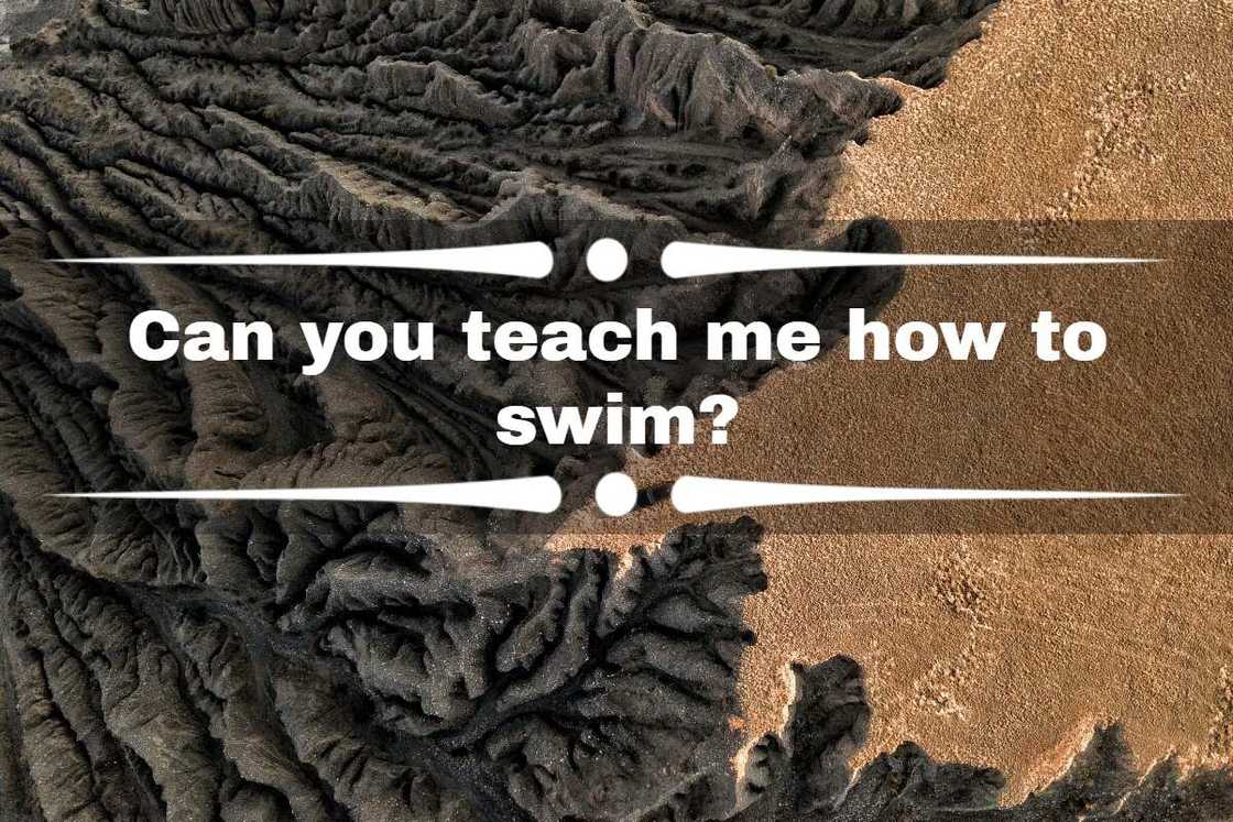dumb questions to ask Siri dumb questions to ask Siri