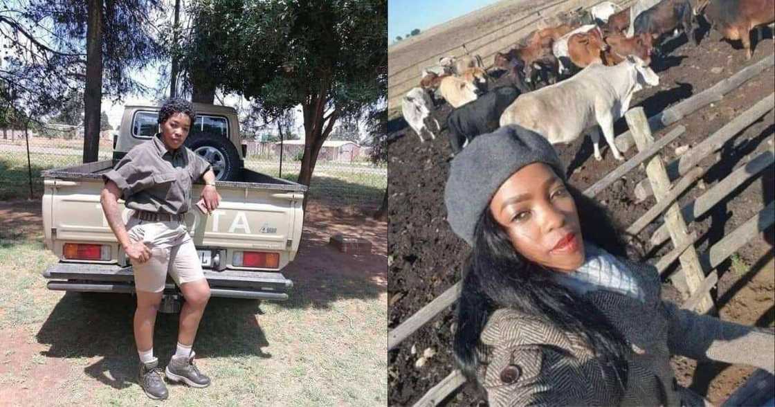 Police officer, commercial farmer, lady changes job, pursues dream, success, hard work, Mzansi reacts Police officer, commercial farmer, lady changes job, pursues dream, success, hard work, Mzansi reacts