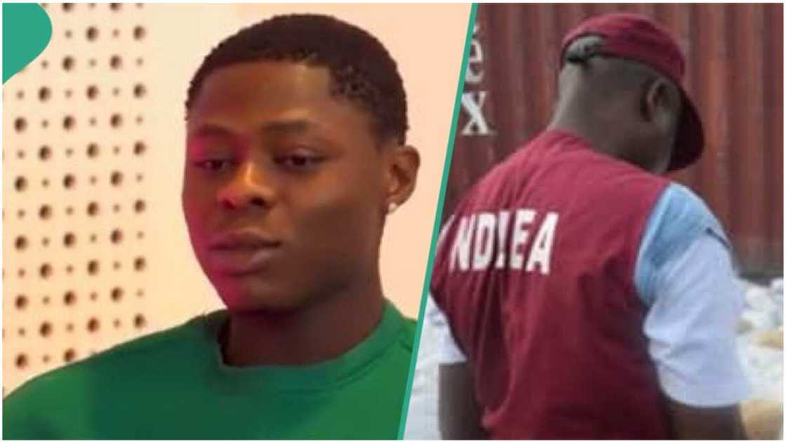 NDLEA/Mohbad/Ilerioluwa Oladimeji NDLEA/Mohbad/Ilerioluwa Oladimeji
