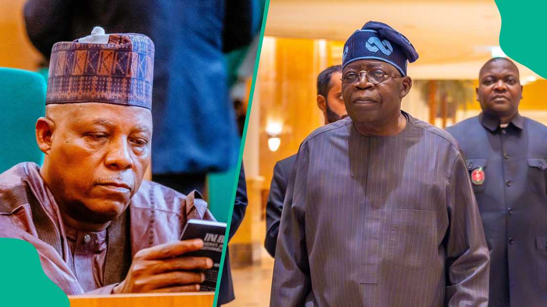 Tinubu's man Kashim Shettima reportedly on the hot seat. Tinubu's man Kashim Shettima reportedly on the hot seat.