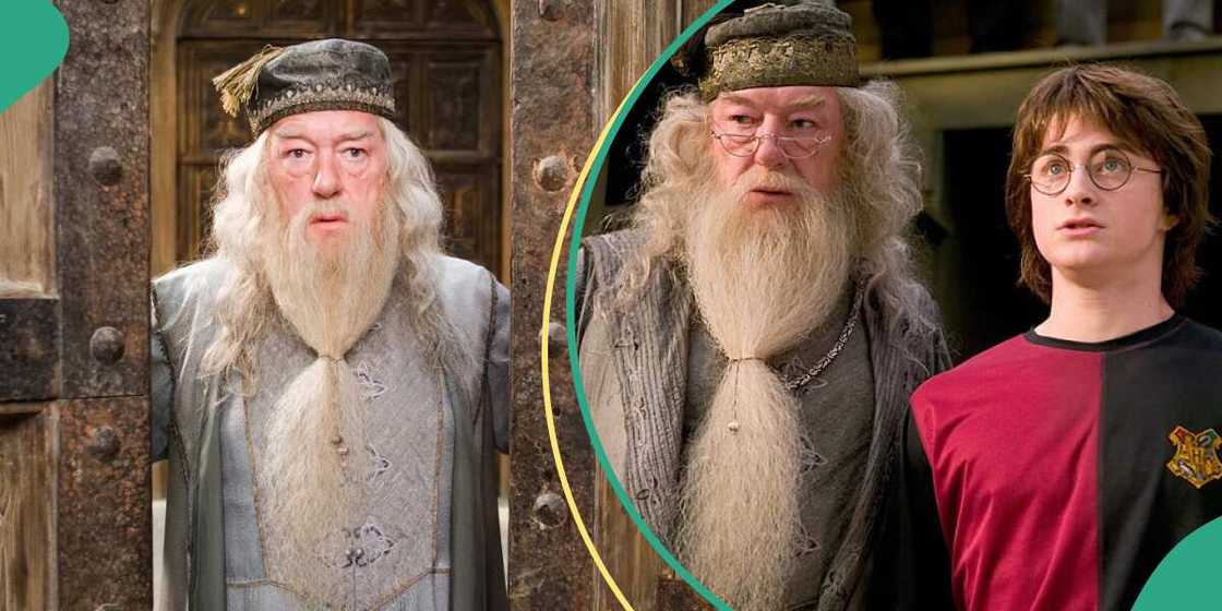 Albus Dumbledore, Albus Dumbledore and Harry Potter Albus Dumbledore, Albus Dumbledore and Harry Potter