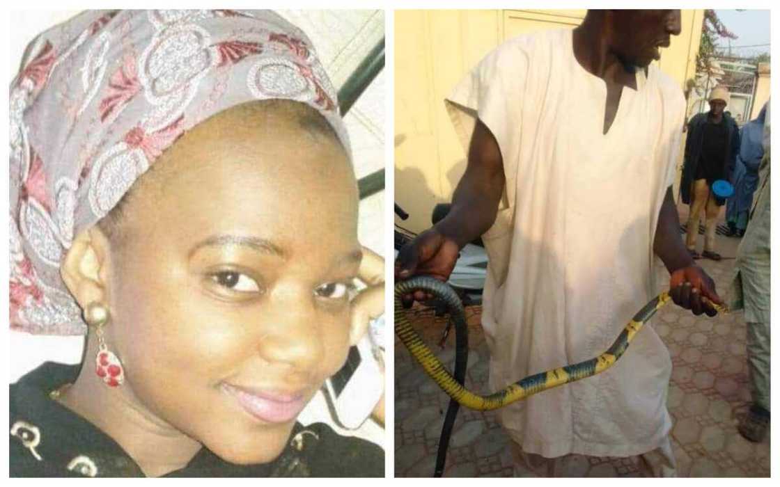 Wata mai juna biyu ta mutu bayan maciji ya sare ta cikin bandaki Wata mai juna biyu ta mutu bayan maciji ya sare ta cikin bandaki