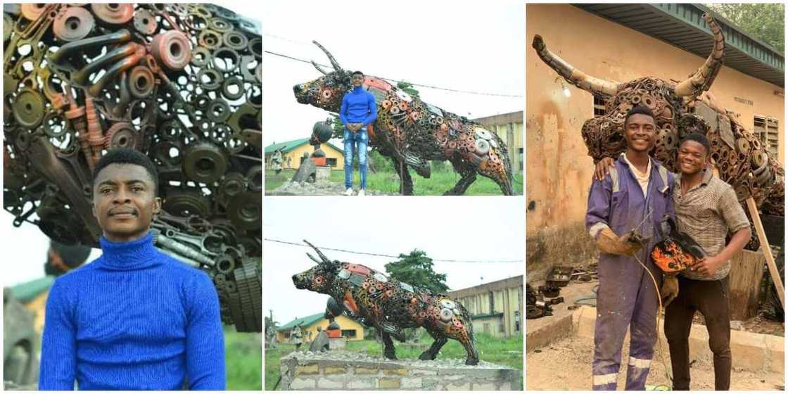 Nigerian Man Shows Great Artistic Skills, Makes Brazen Bull from Metal Wastes, Photos Impress Many People Nigerian Man Shows Great Artistic Skills, Makes Brazen Bull from Metal Wastes, Photos Impress Many People