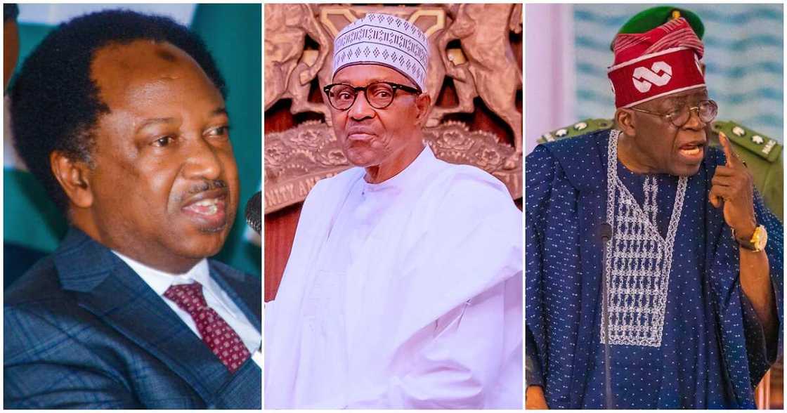 Shehu Sani, Muhammadu Buhari da shugaban kasa Bola Tinubu