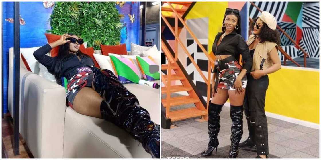 Photos of Modella and Phyna. Photos of Modella and Phyna.