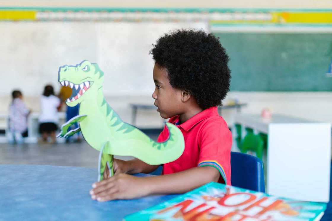 Nigeria early childhood education Nigeria early childhood education