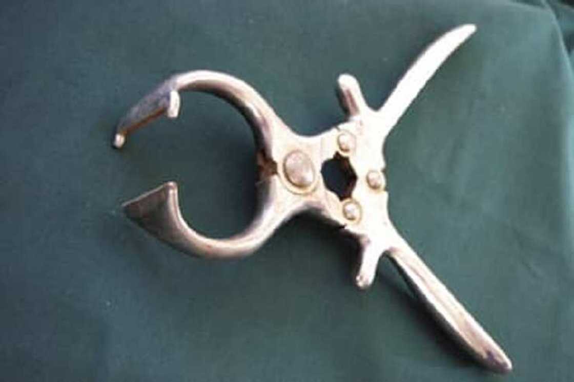 Benue: Ɗan shekaru 44 ya dandaƙe kansa domin kaucewa sha'awa Benue: Ɗan shekaru 44 ya dandaƙe kansa domin kaucewa sha'awa